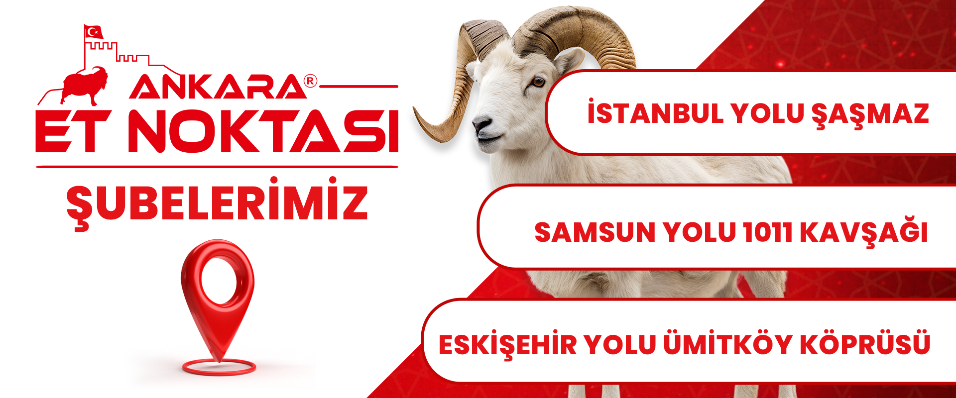 Şubelerimiz