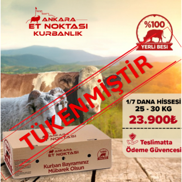 25-30 Kg Kurbanlık Dana 1/7 Hissesi