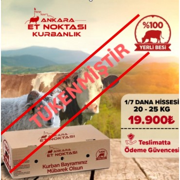 20-25 Kg Kurbanlık Dana 1/7 Hissesi