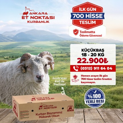Küçükbaş Kurbanlık 1...